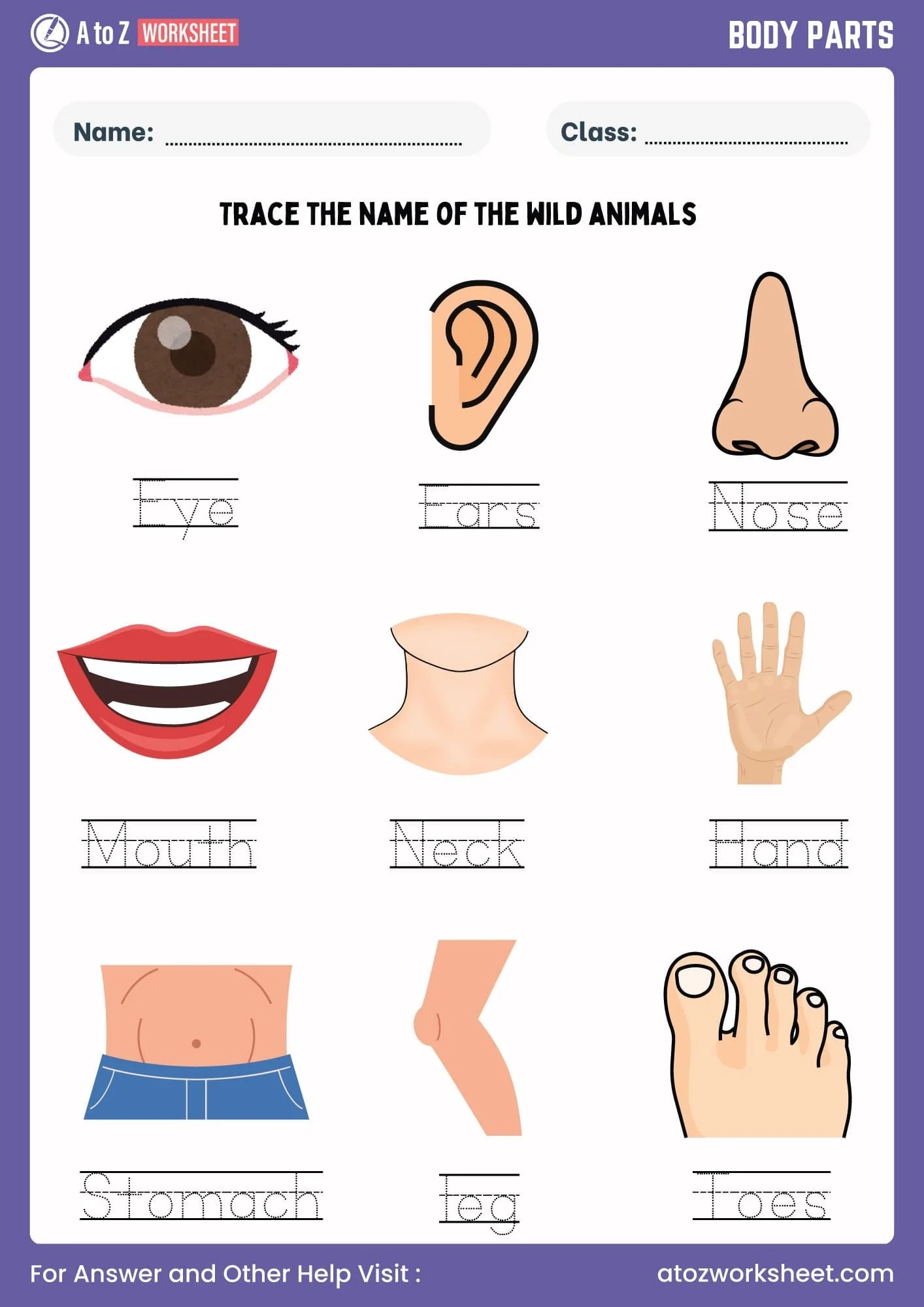 11 Free Printable Body Parts Worksheet For Kindergarten And Class 