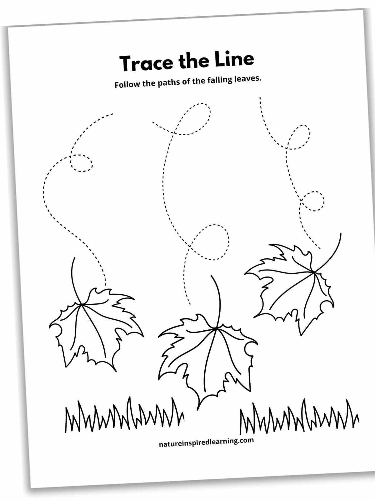 Fall Tracing Worksheets Free