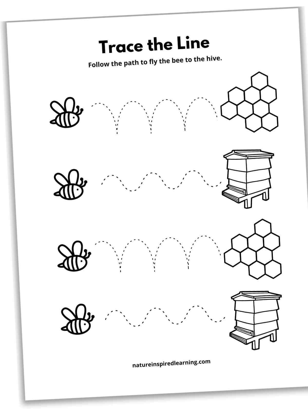 17 Line Tracing Worksheets Free Nature Inspired Learning