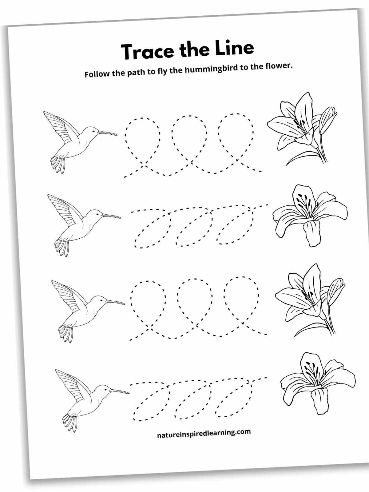Tracing Straight And Curved Lines