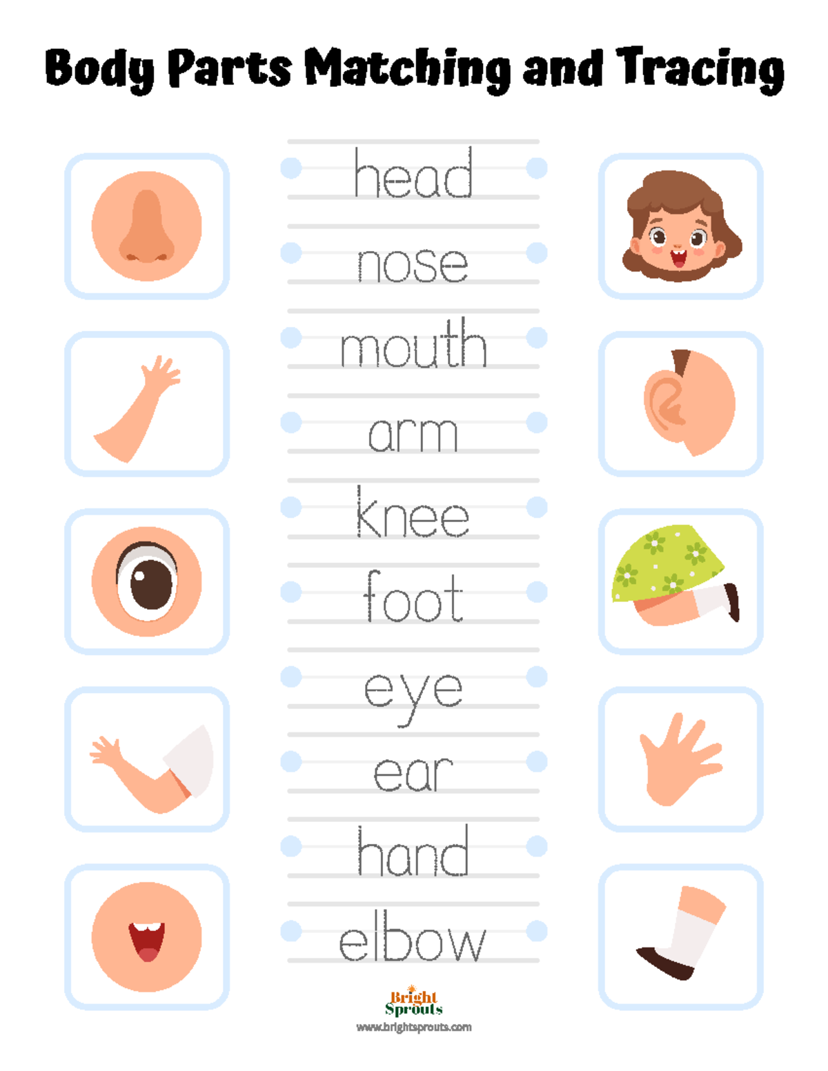 6 body Parts Matching And Tracing English Ody Parts Matching 6 body Parts Matching And Tracing English Ody Parts Matching
