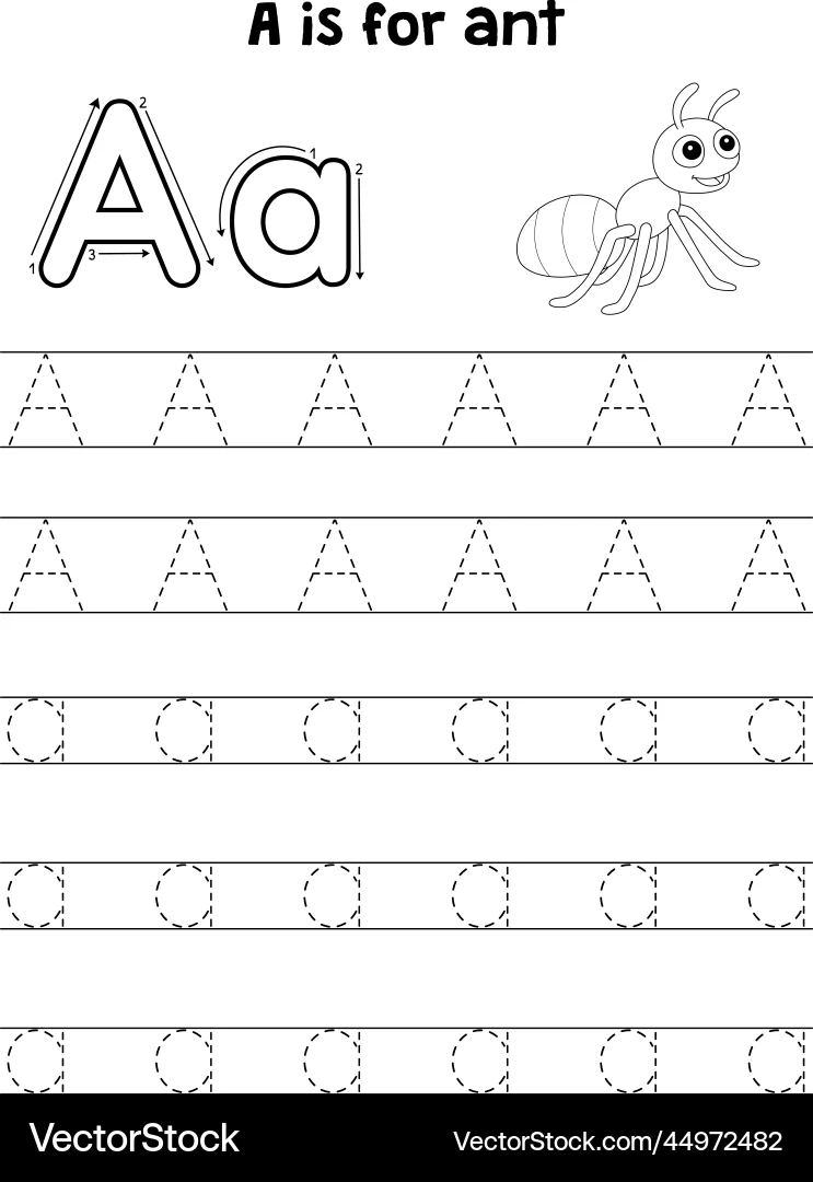 Ant Tracing Worksheet