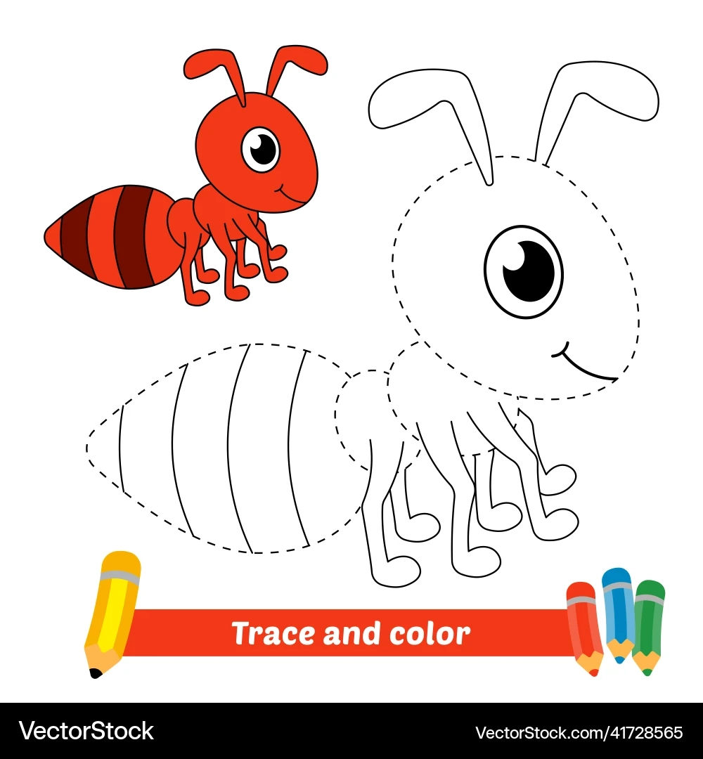 Ant Coloring amp Trace Activity For Kids Royalty Free Vector 
