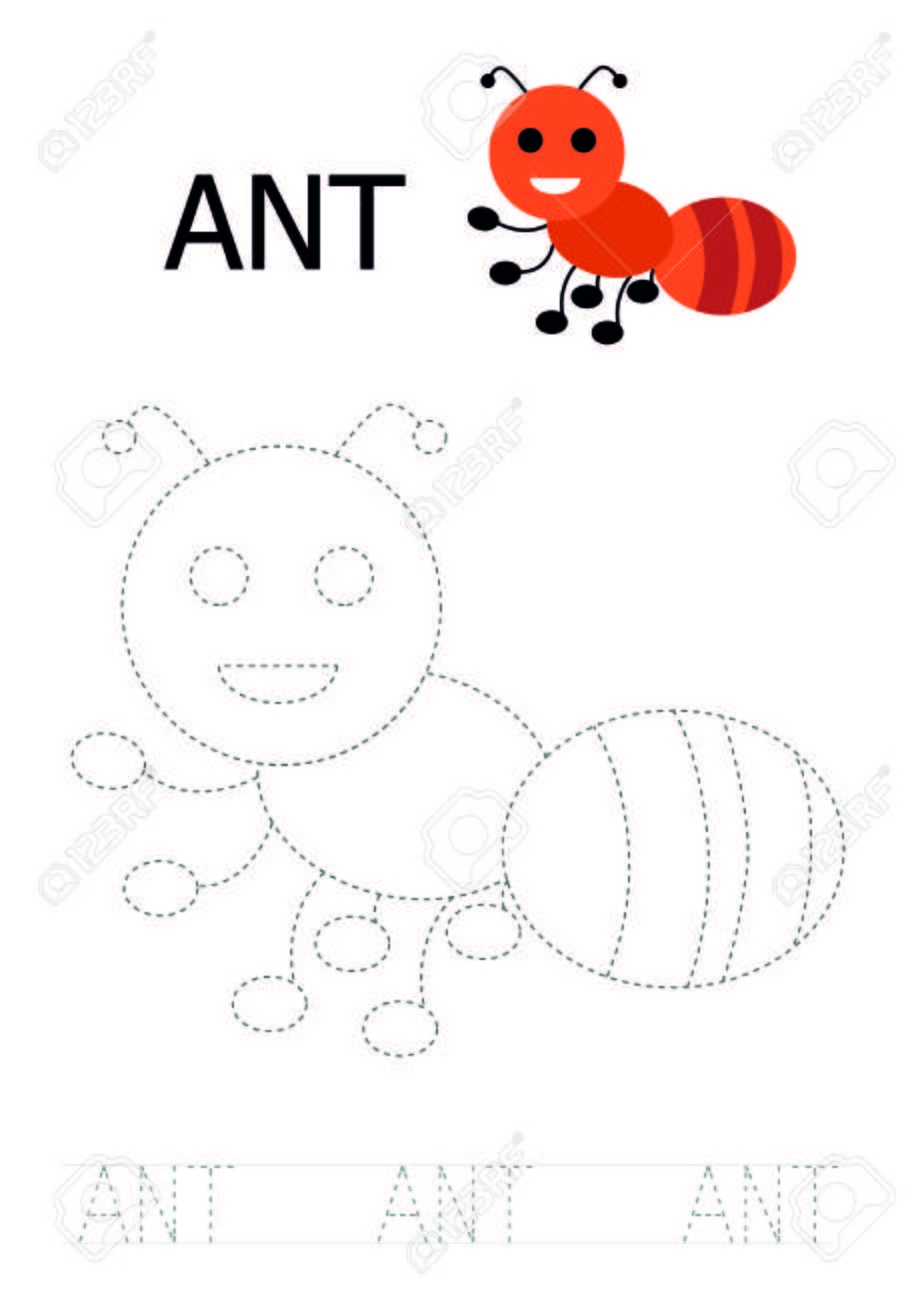 Ant Tracing Worksheet Royalty Free SVG Cliparts Vectors And 