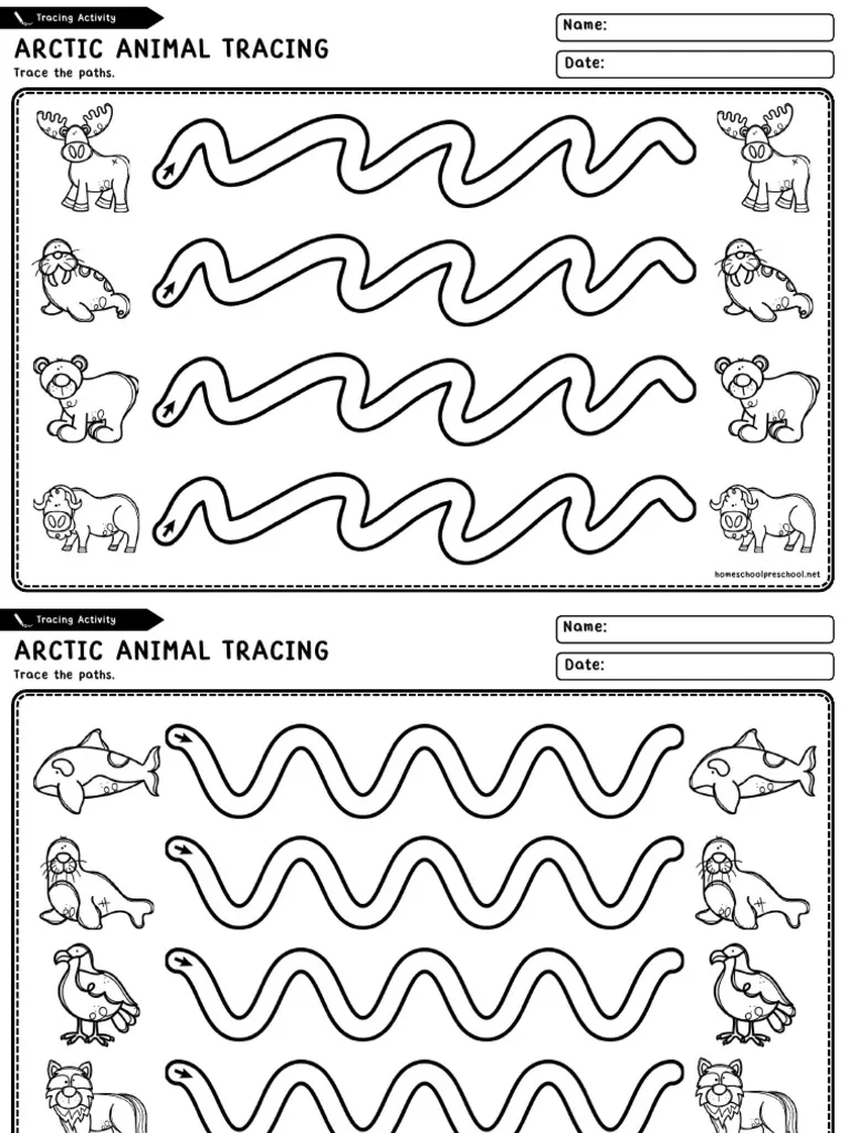 Arctic Animals Tracing Worksheets 1 PDF