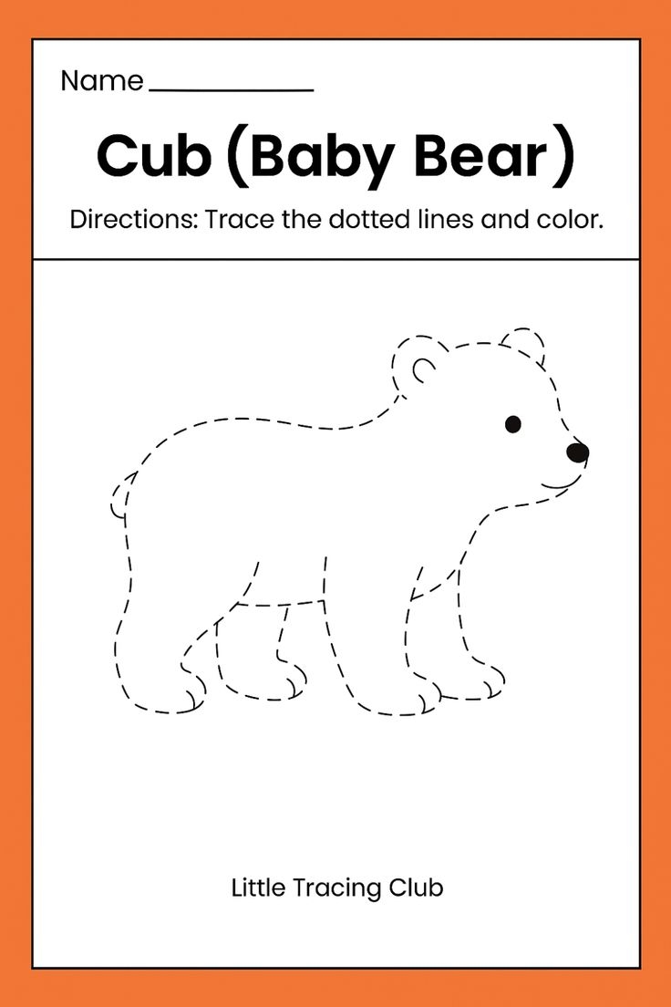 Baby Bear Tracing Worksheet For Preschoolers Kids