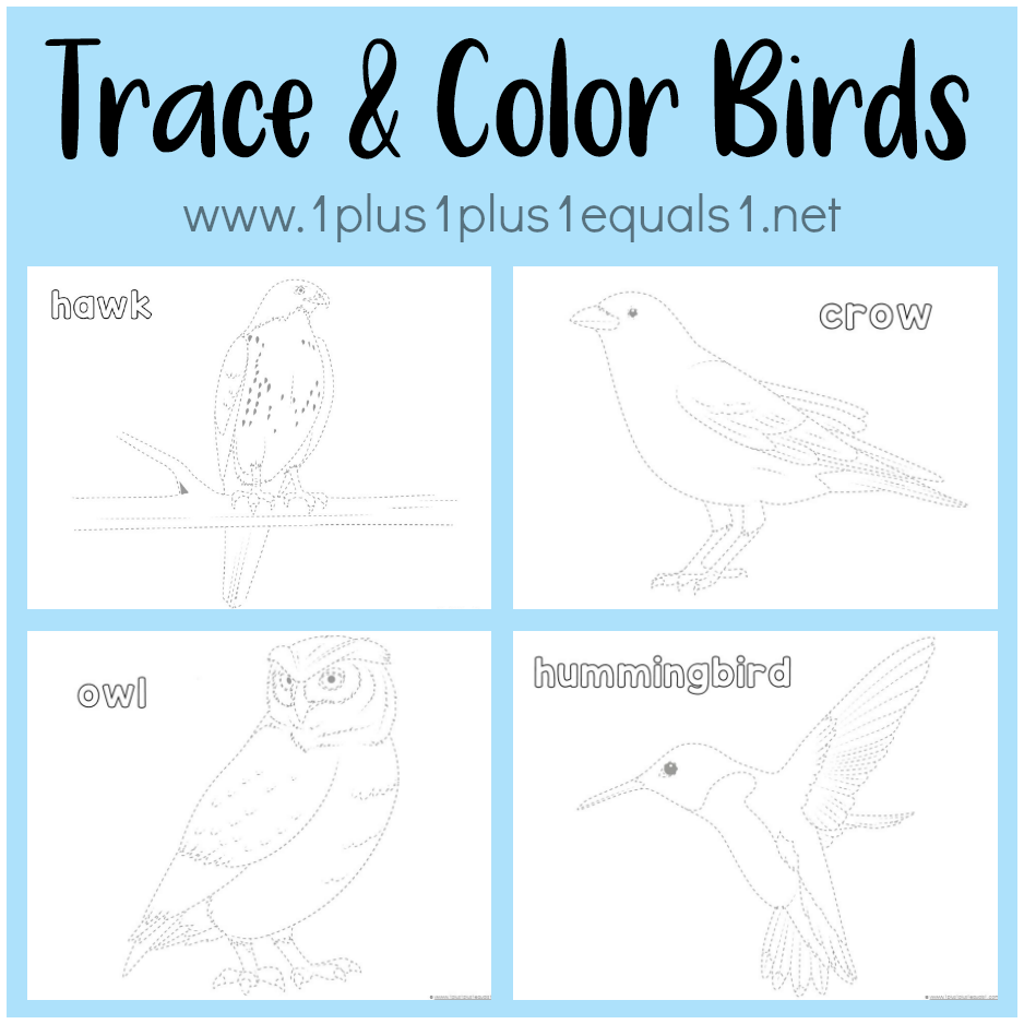 Bird Trace And Color Printables 1 1 1 1