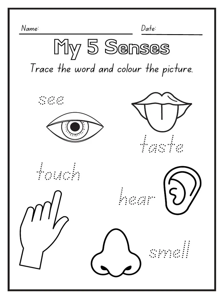 Black And White Kindergarten 5 Senses Science Worksheet PDF