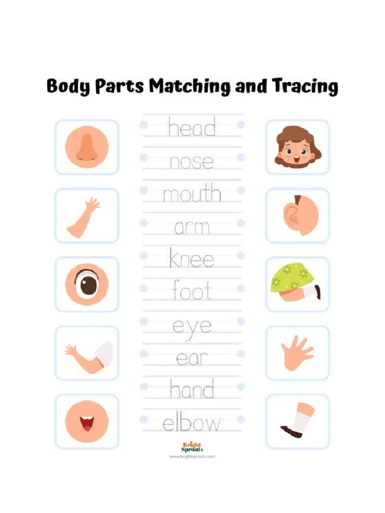 Body Parts Matching And Tracing PDF