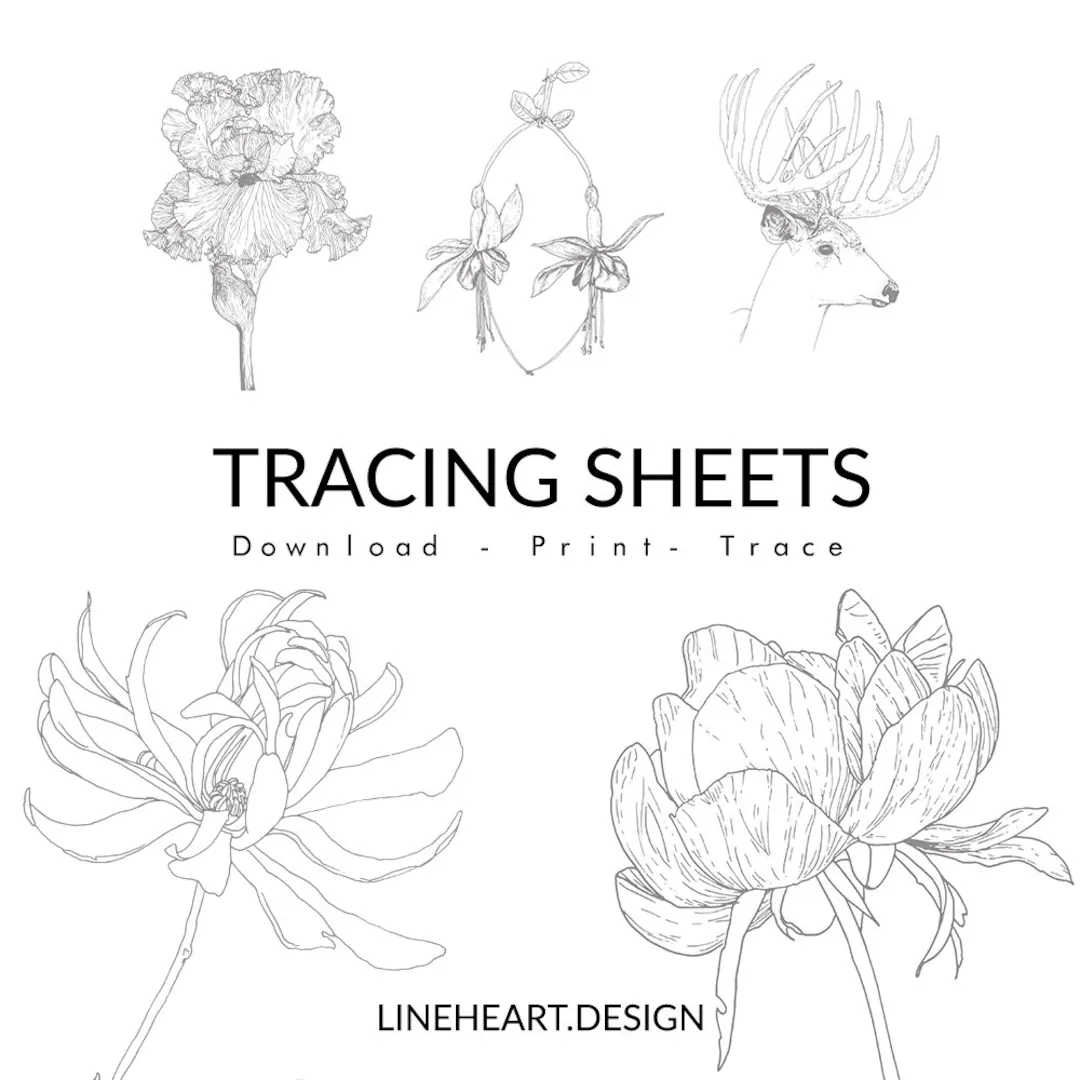 Botanical Tracing Sheets For Pen And Ink Line Art Practice And 