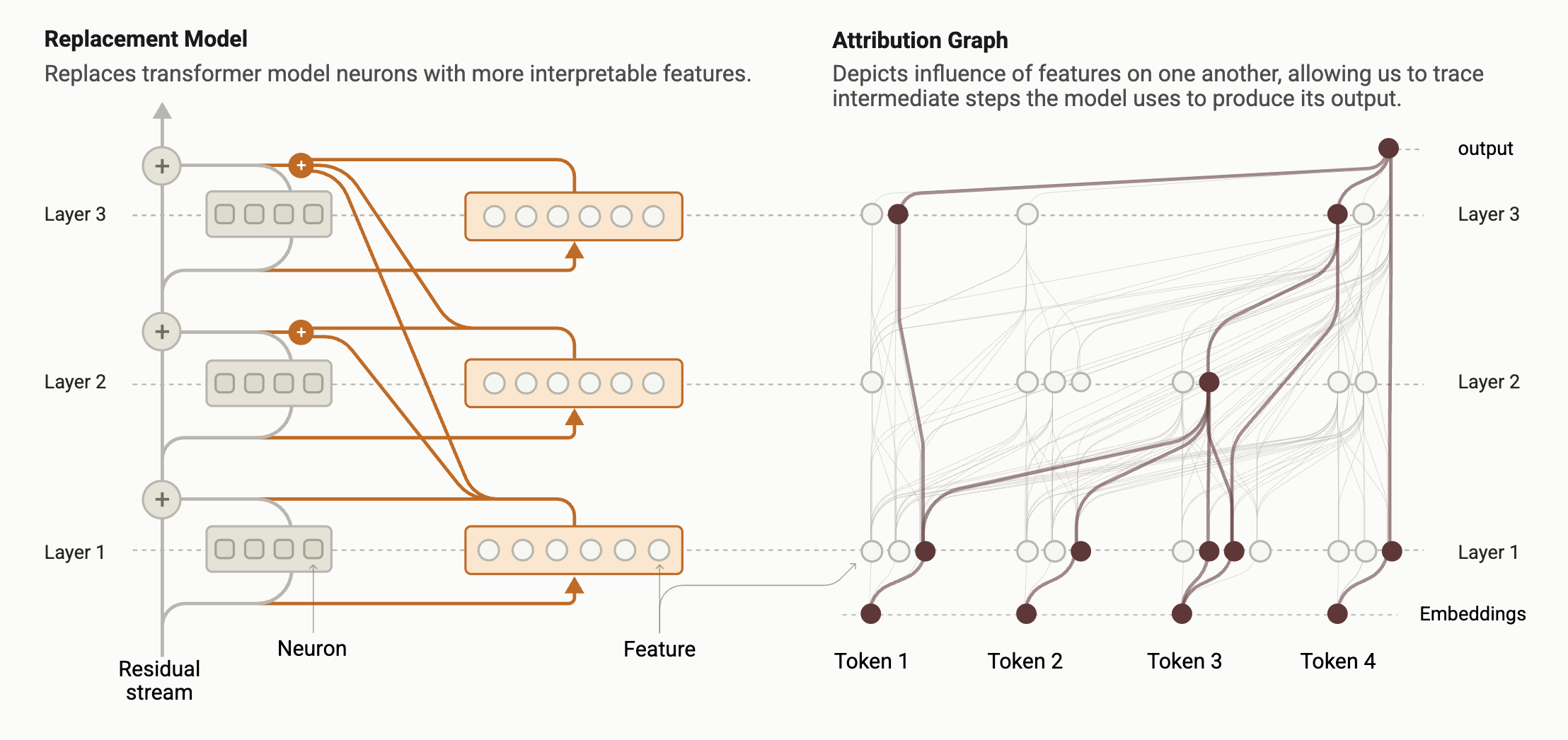 Circuit Tracing Revealing Computational Graphs In Language Models