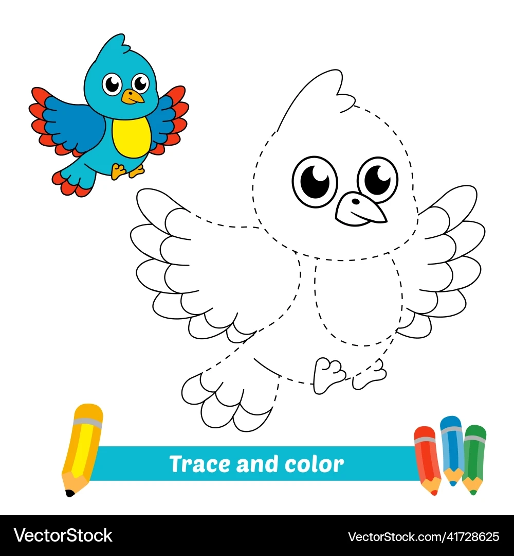 Cute Bird Coloring amp Trace Worksheet Royalty Free Vector 