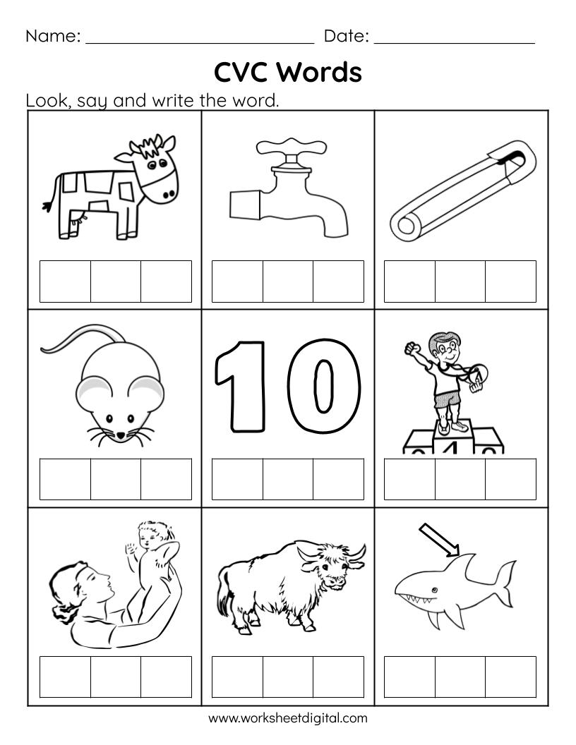 CVC Words Say And Write The CVC Words Phonics Worksheets CVC Words Say And Write The CVC Words Phonics Worksheets