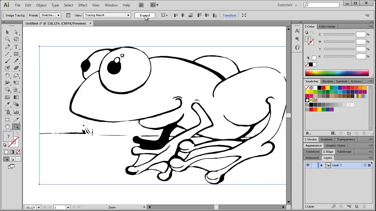 Digital Illustration Tracing Line Art In Illustrator