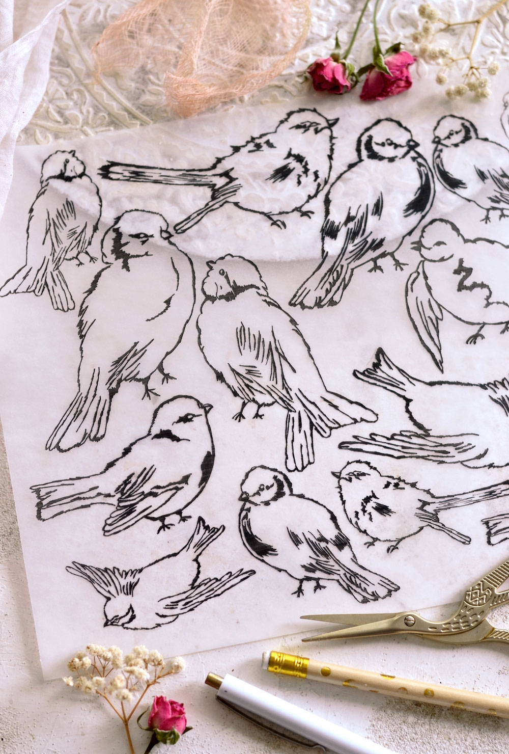 DIY Tracing Paper Sketch Birds Dreams Factory
