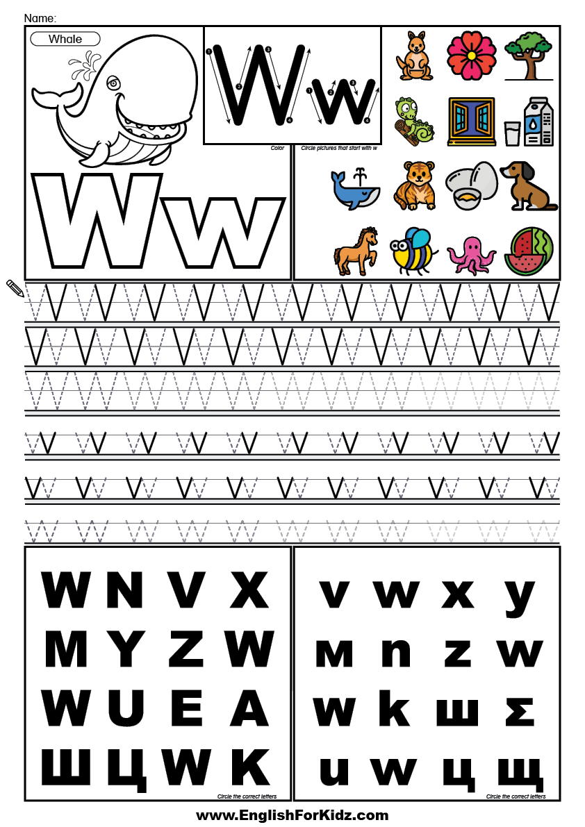 English For Kids Step By Step Letter W Worksheets Flash Cards 