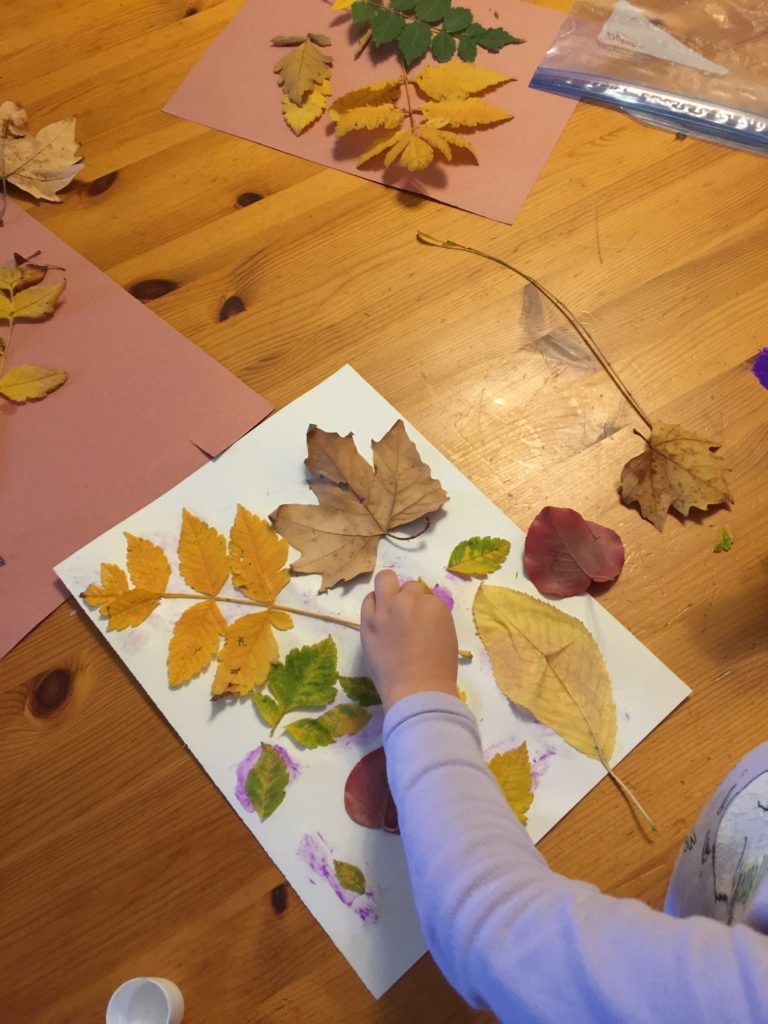 Tracing Leaves On Paper