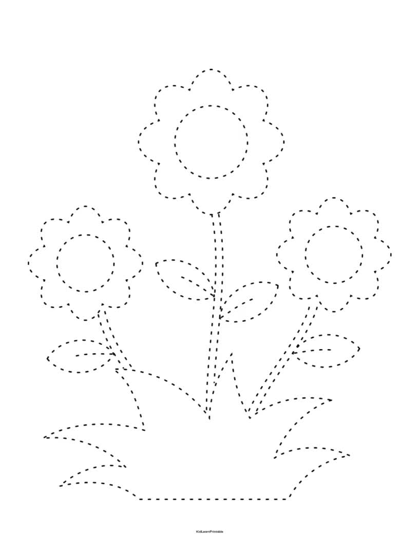 Tracing Flowers Worksheet