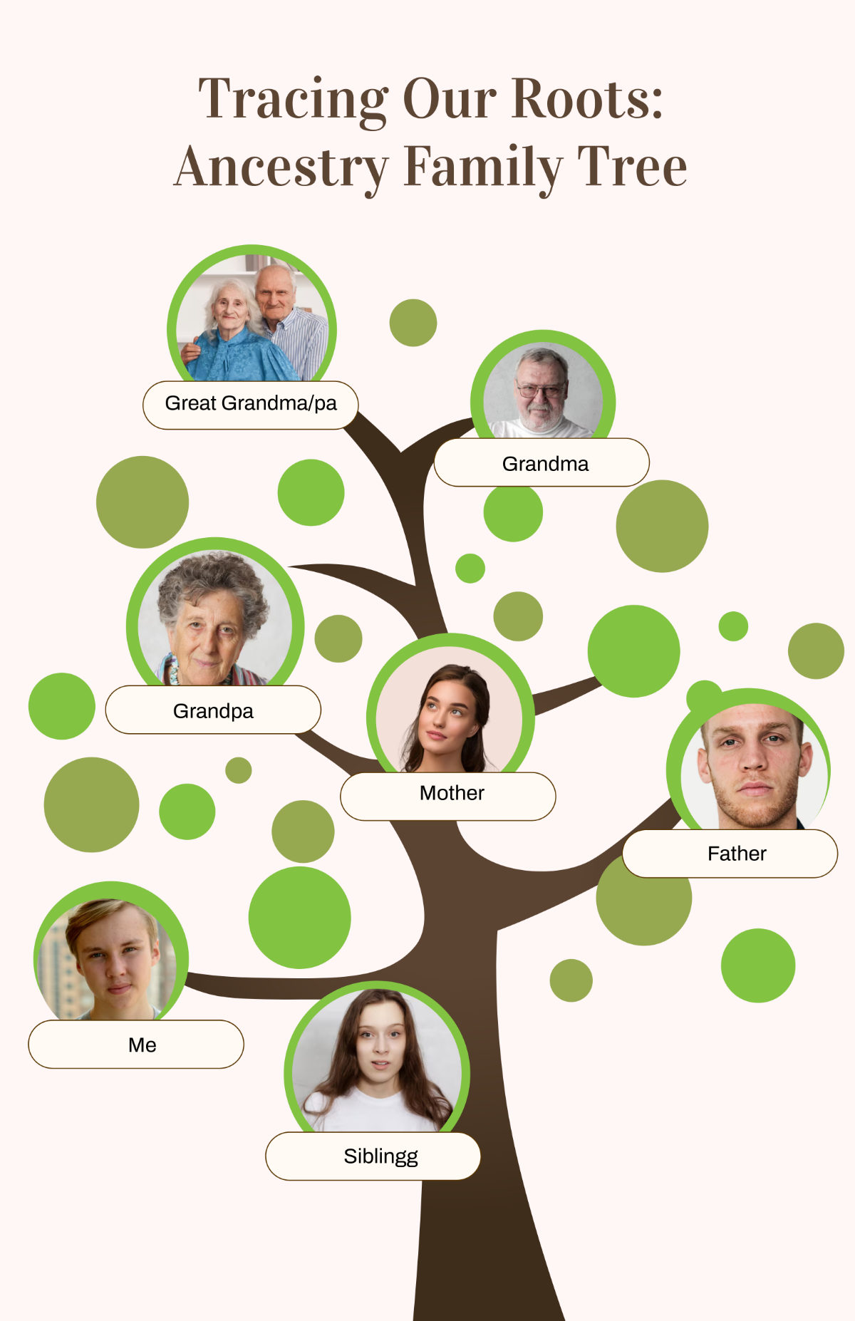 Free Ancestry Tracing