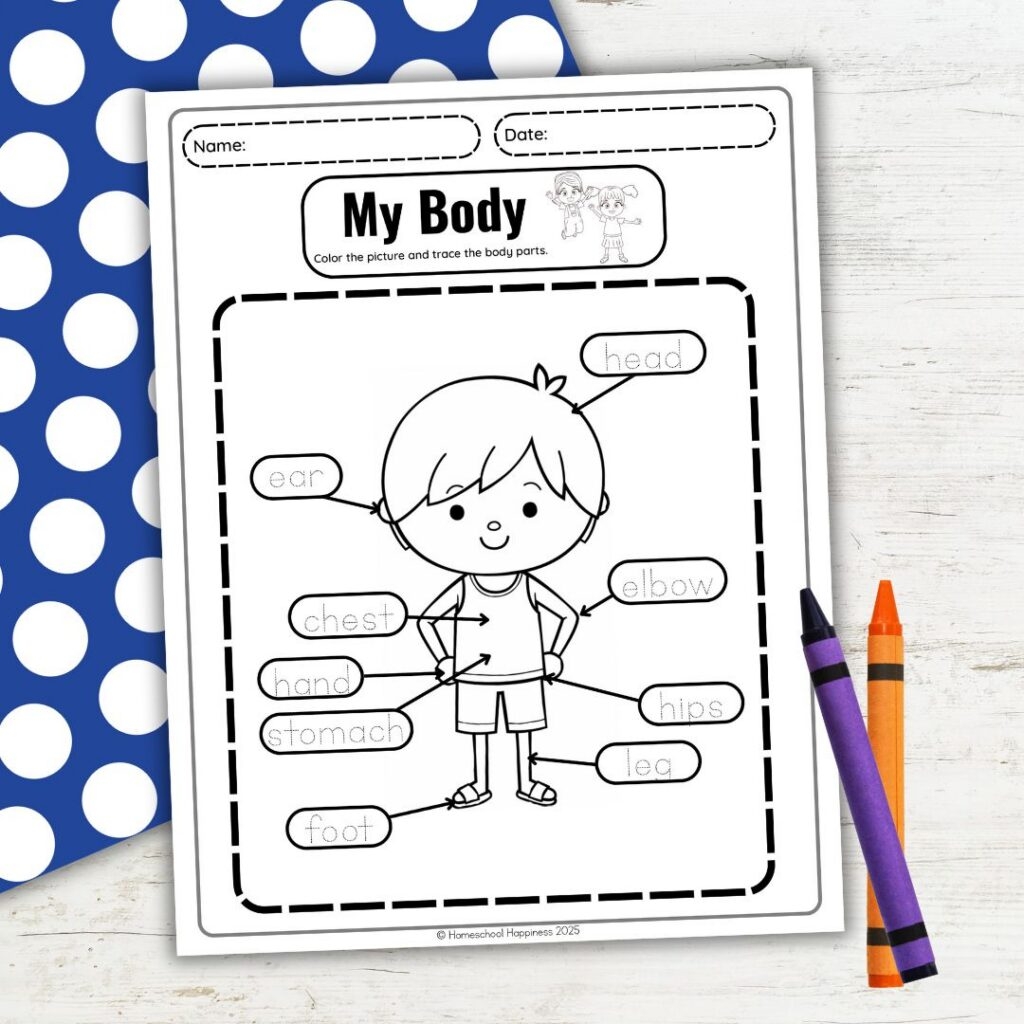 Free Human Body Coloring Pages For Kindergarten amp Preschool Free Human Body Coloring Pages For Kindergarten amp Preschool