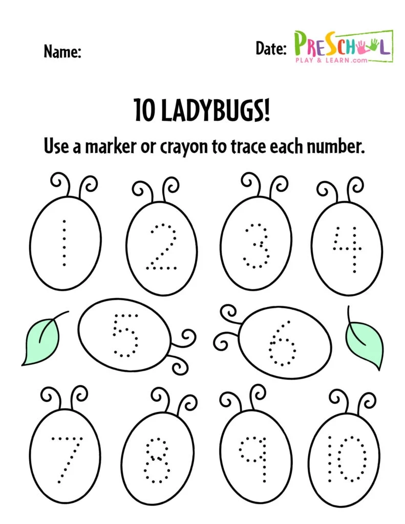 FREE Ladybug Printable Worksheets For Preschool