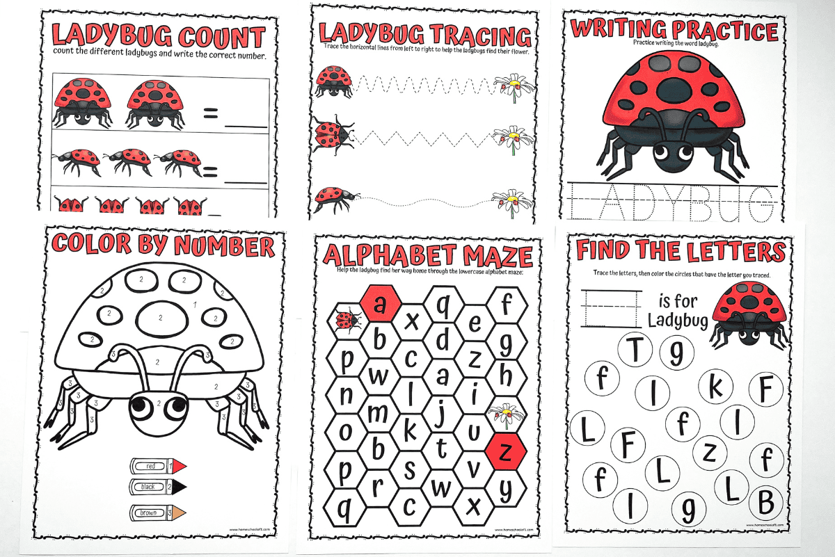 Ladybug Tracing Worksheet