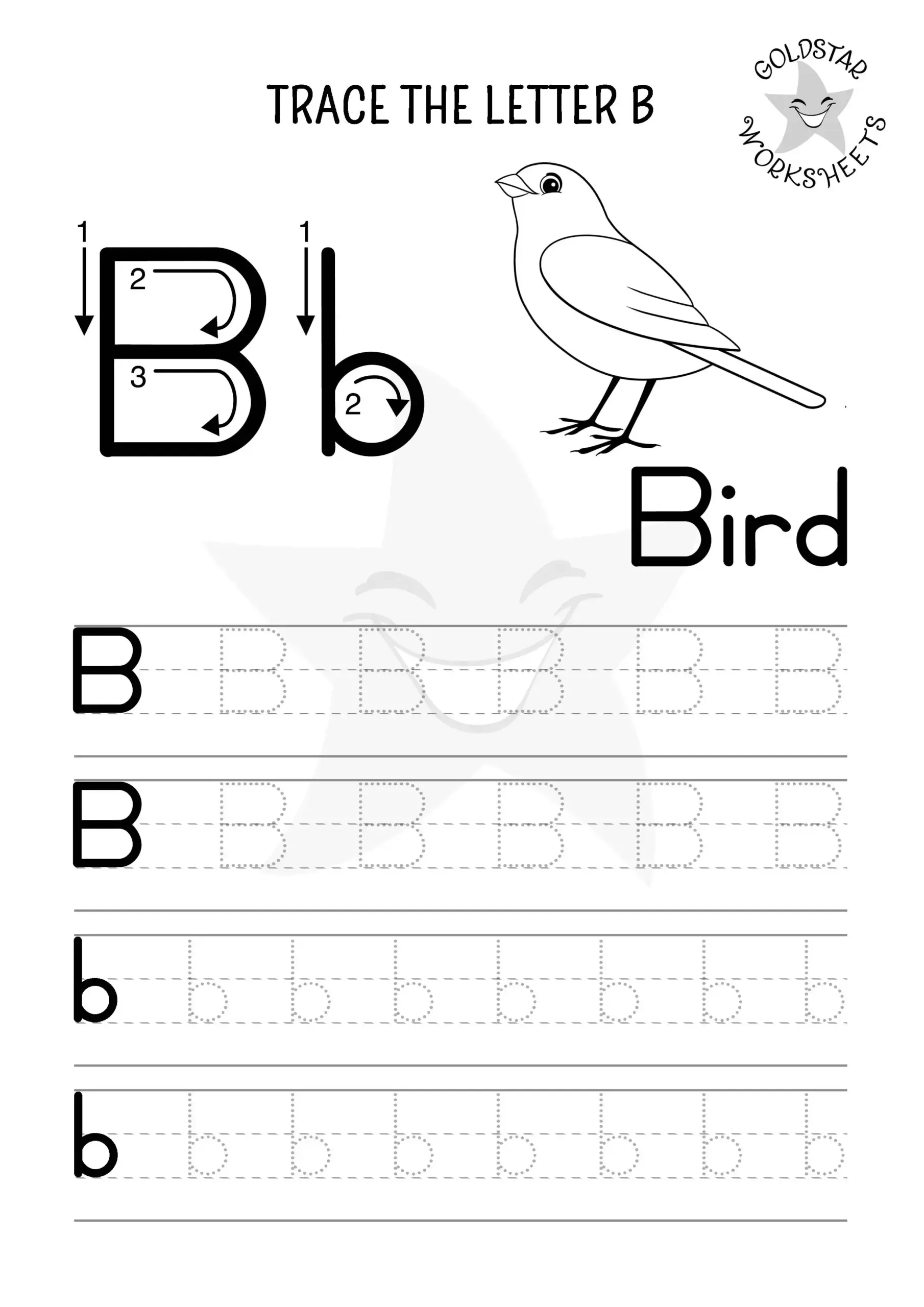 Letter B Worksheets Tracing