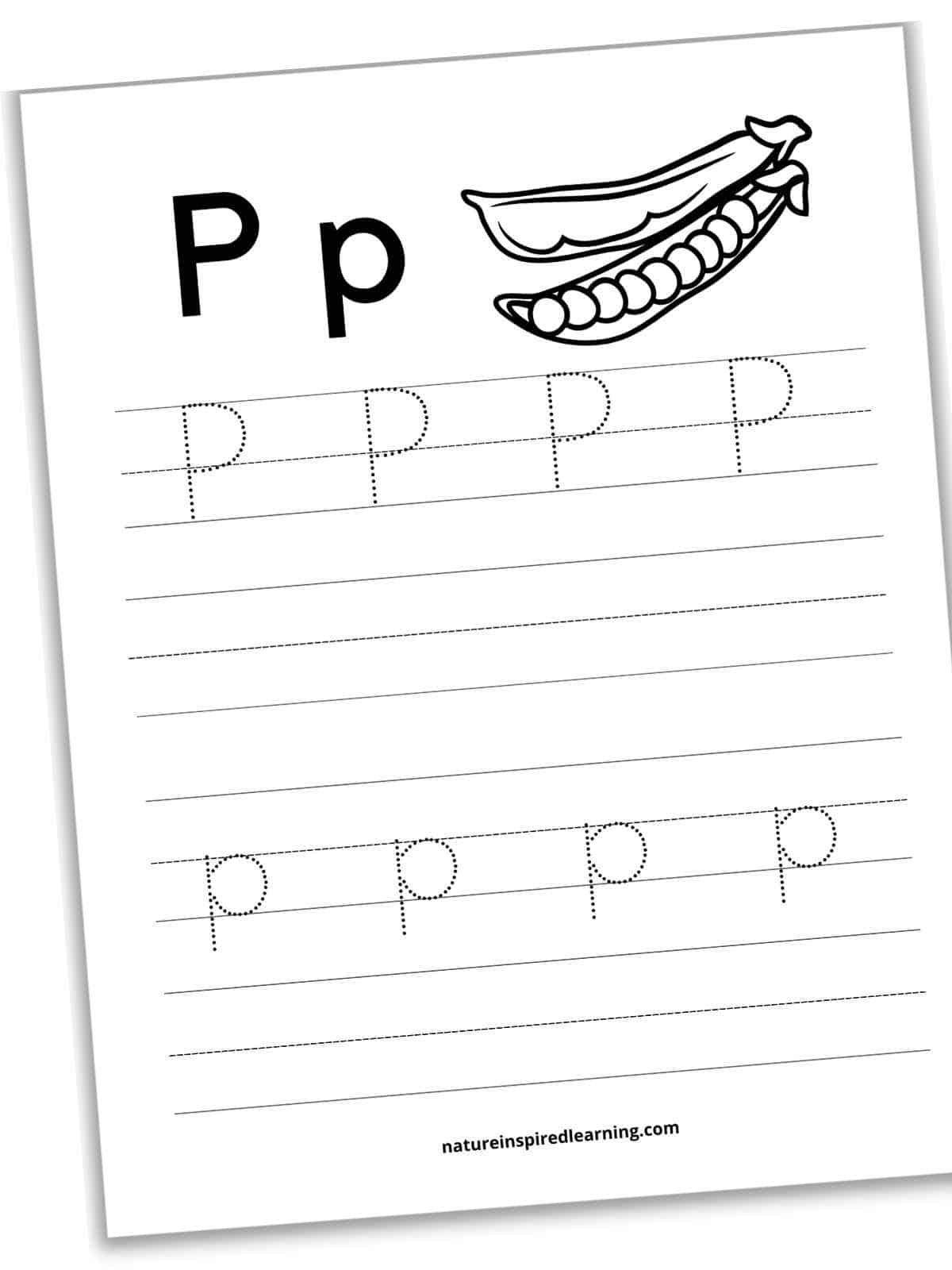 Free Letter P Tracing Worksheets Nature Inspired Learning