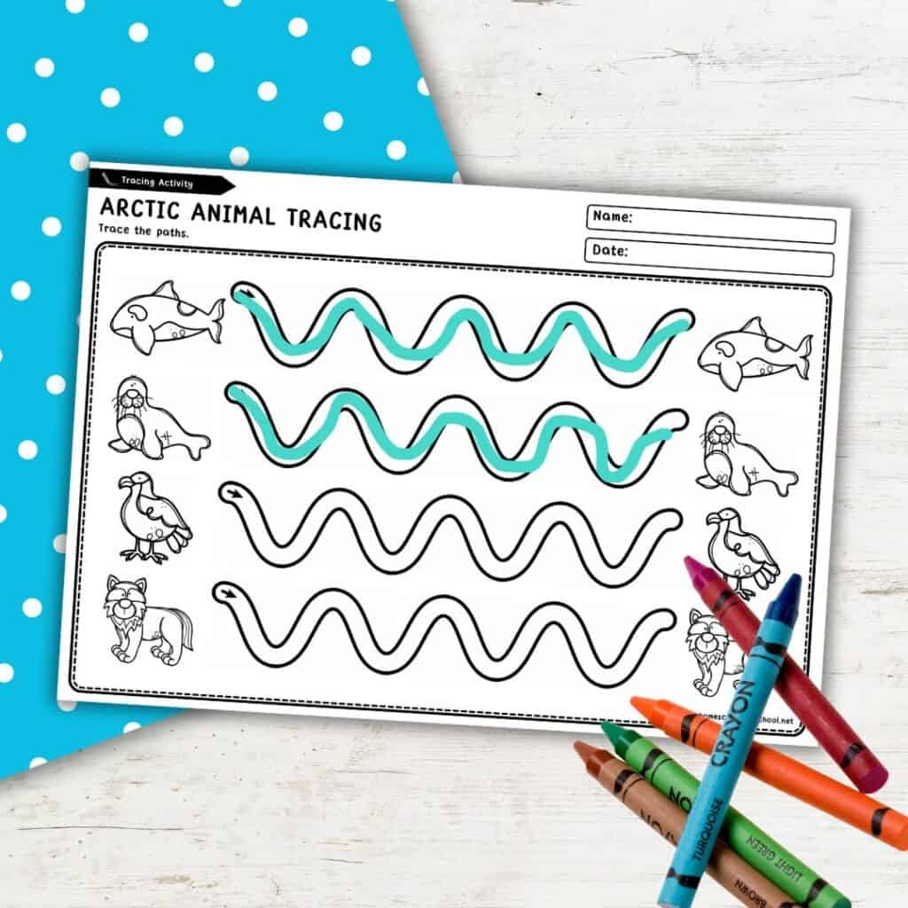 Free Printable Arctic Animals Tracing Worksheets For Preschool