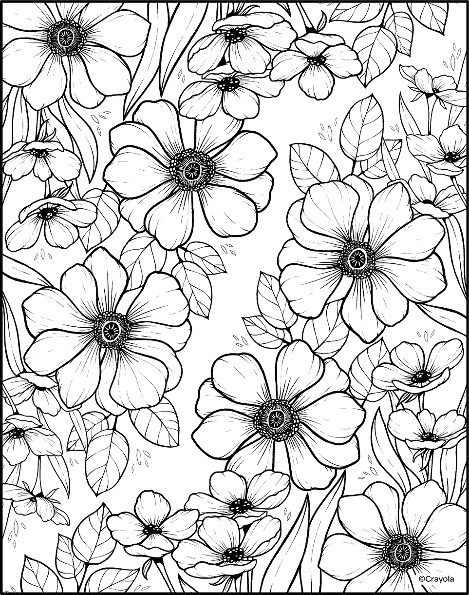 Free Printable Colouring Pages For Adults