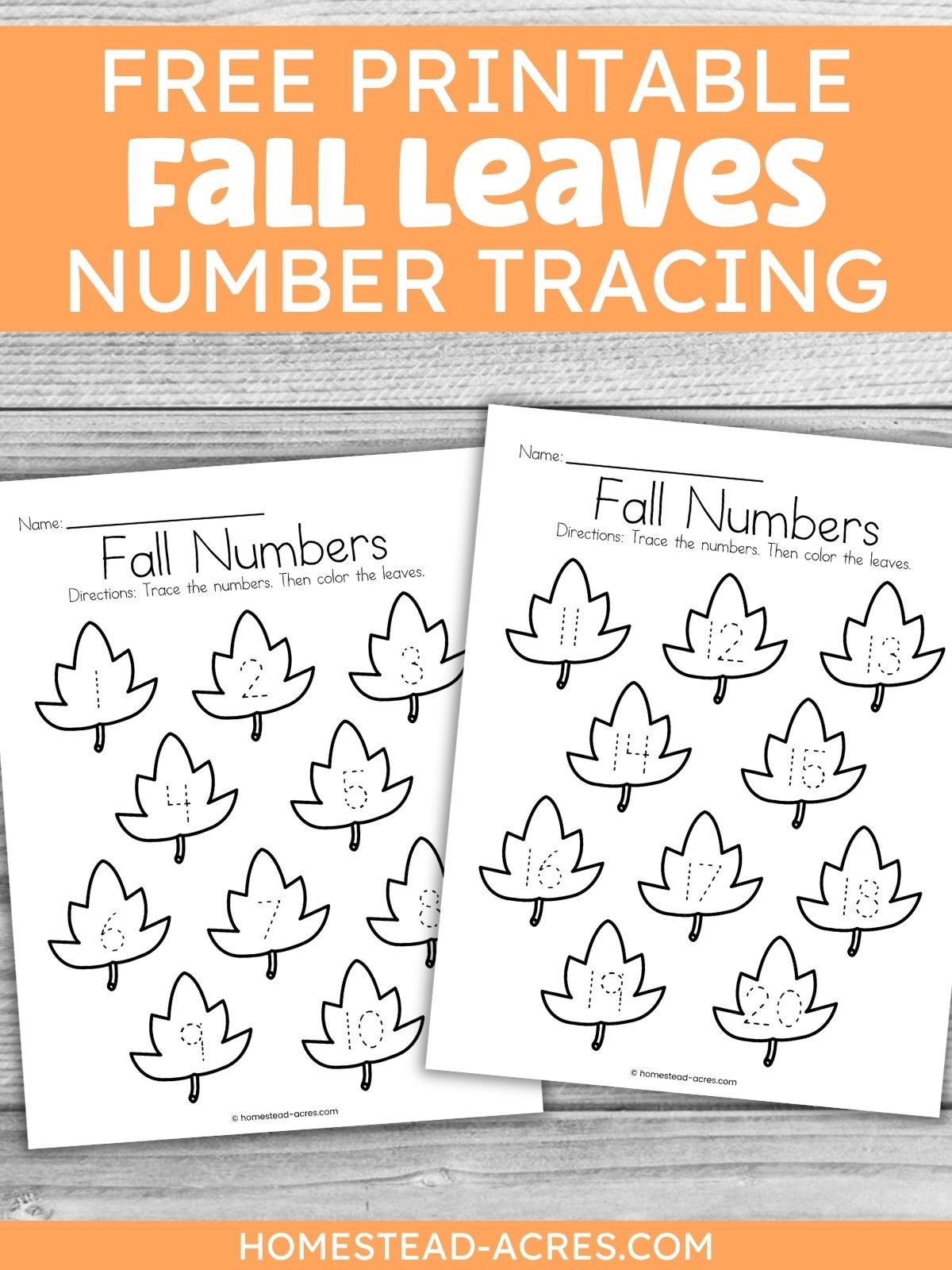 Fall Tracing Worksheets