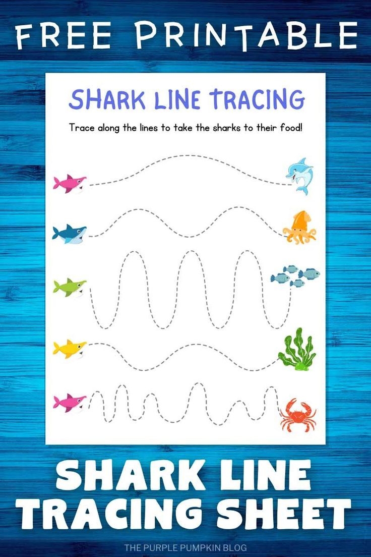 Free Printable Shark Line Tracing Sheet