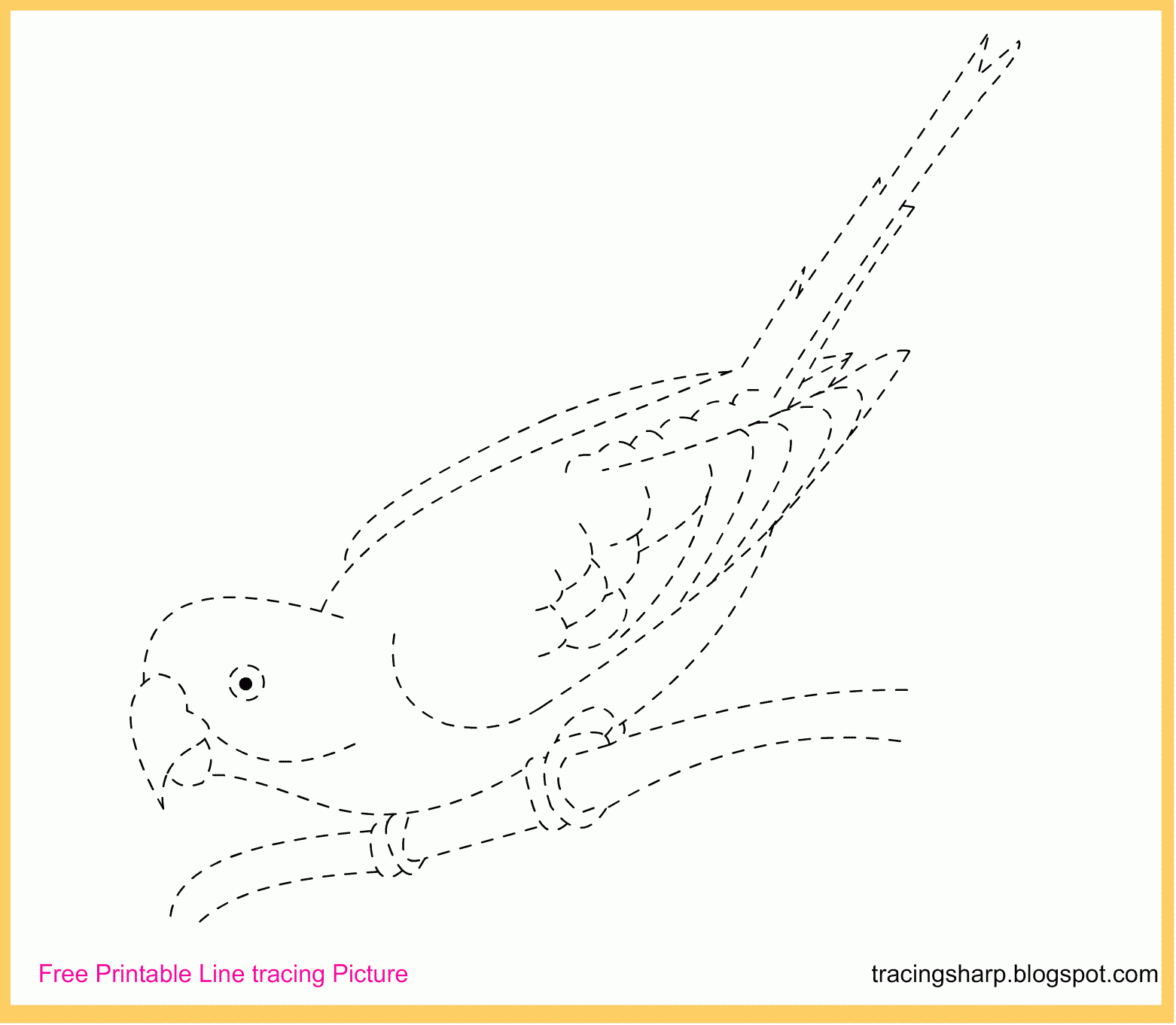 Bird Tracing Worksheet