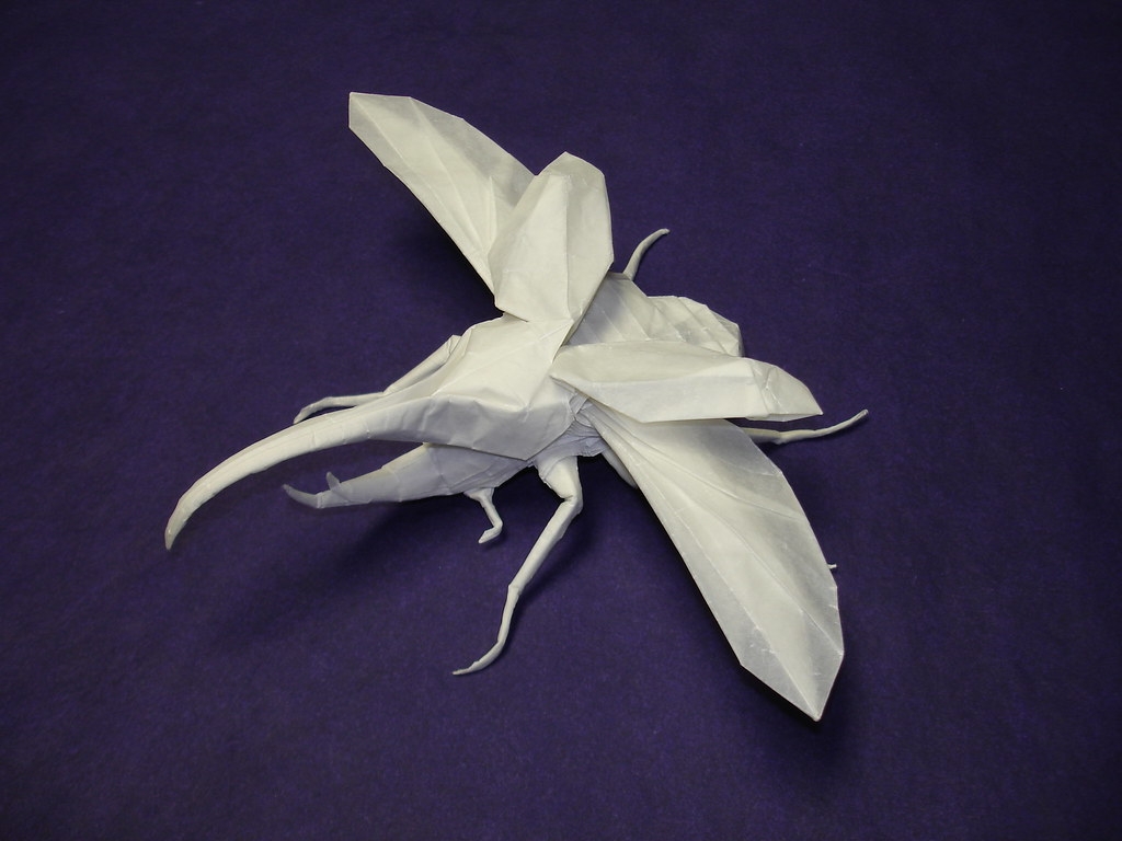 Hercules Beetle Hercules Beetle V2 Folded From Tracing Pap Flickr