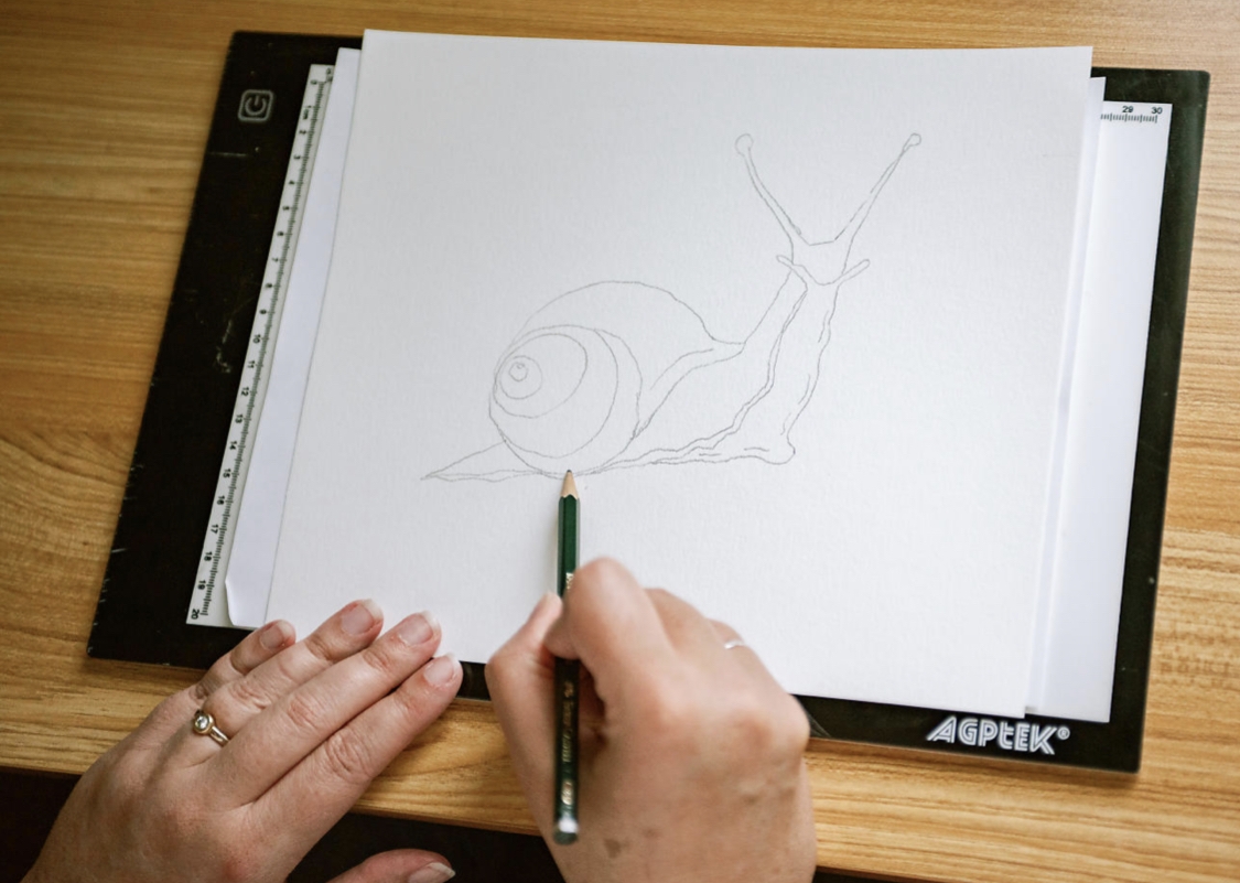 How To Trace Or Transfer To Watercolor Paper Four Ways Lily 