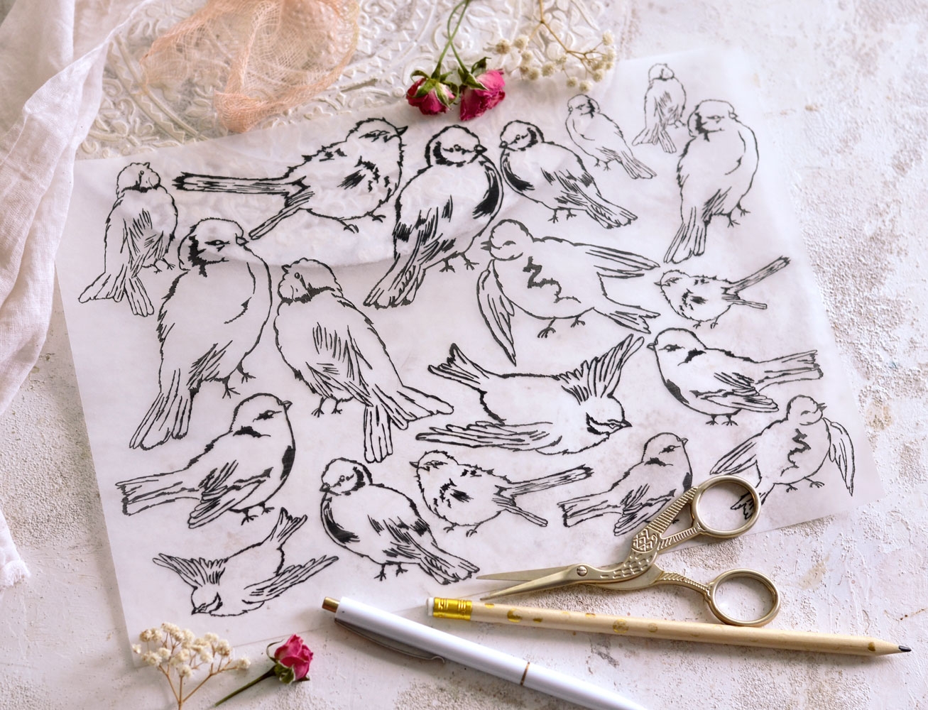 Drawing With Tracing Paper