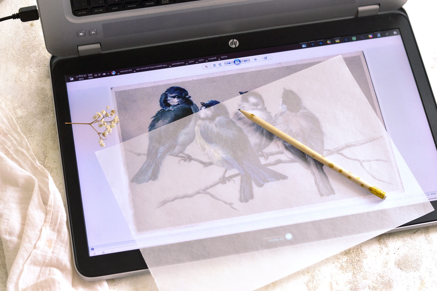 How To Trace With Your Laptop Or Tablet As A Lightbox The 
