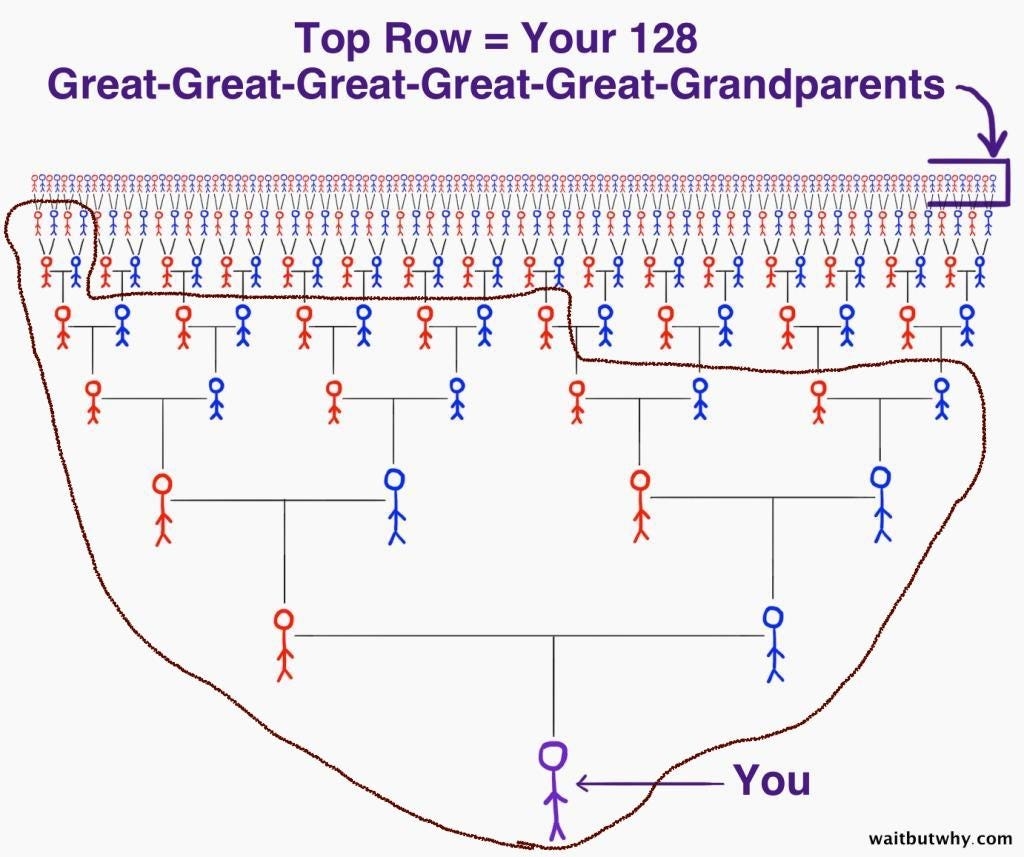 How To Trace Your Ancestors A Step By Step Guide By Miko Santos 