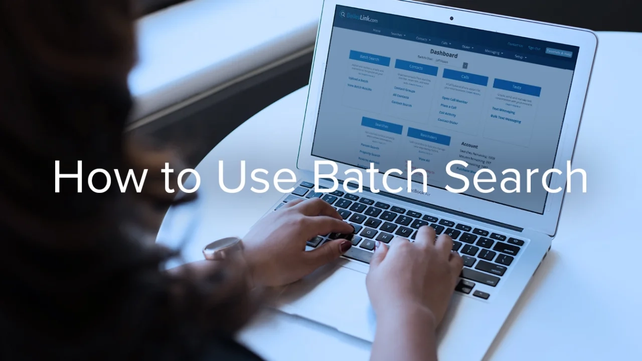 How To Use Batch Search