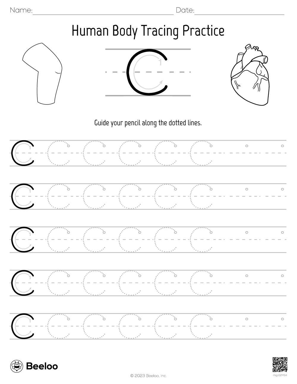 Human Body Tracing Practice Beeloo Printable Crafts And 