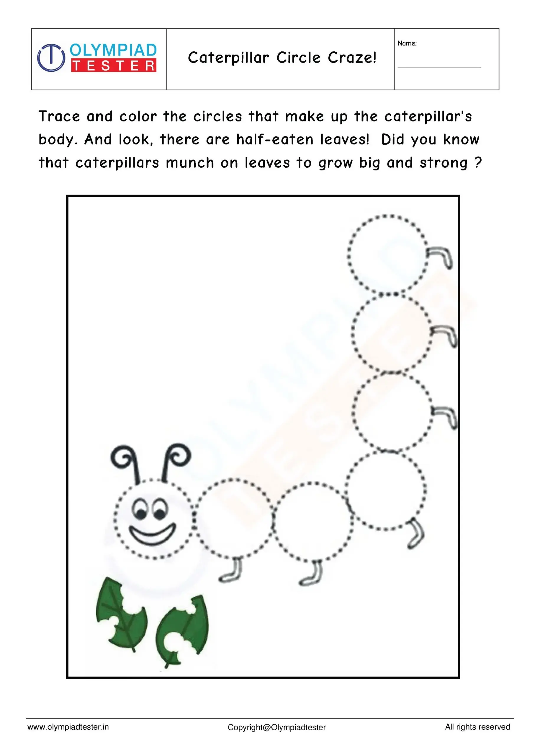 Hungry Caterpillar Worksheet Olympiad Tester
