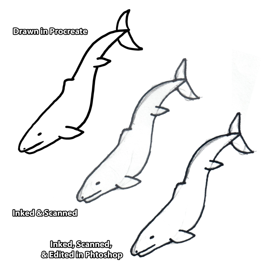 Tracing Line Art In Illustrator