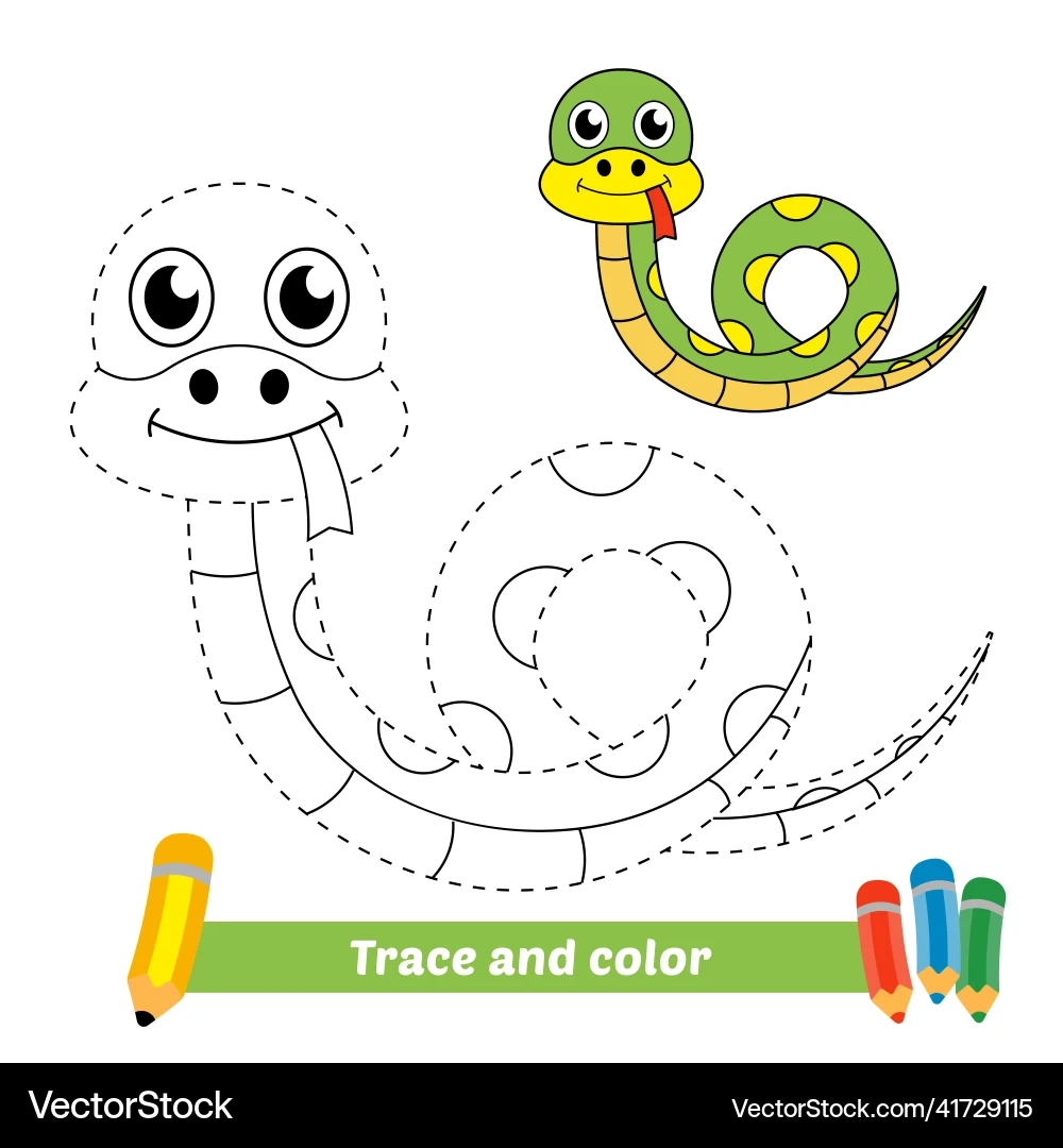 Kids Snake Trace amp Color Worksheet Royalty Free Vector VectorStock
