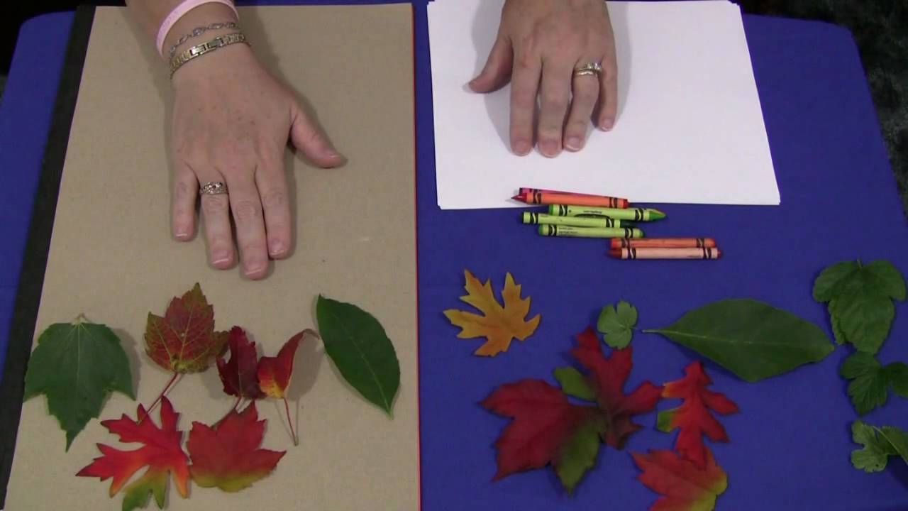 Leaf Rubbings