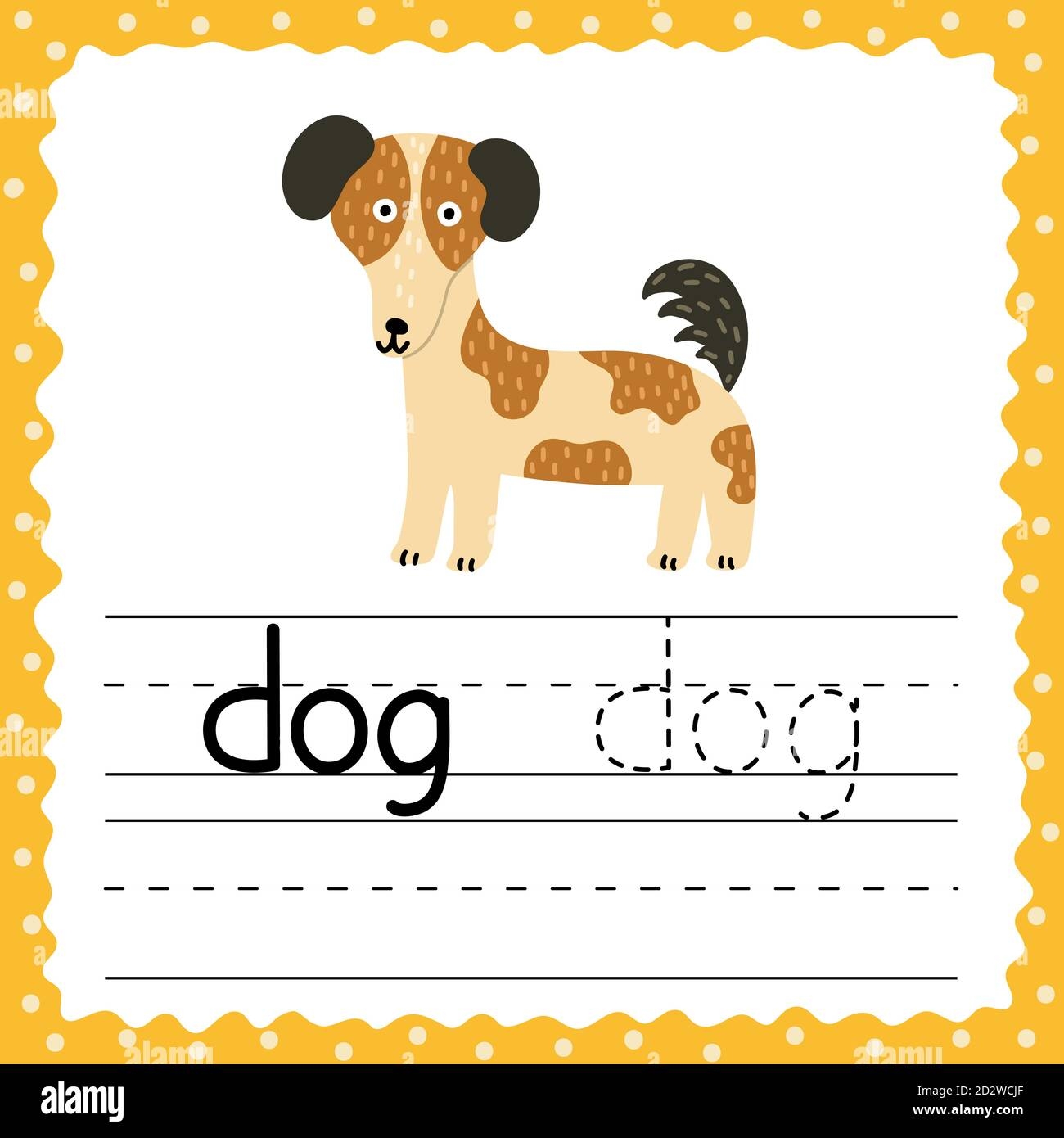 Learning To Write Words Flashcard Three Letters Word Dog 