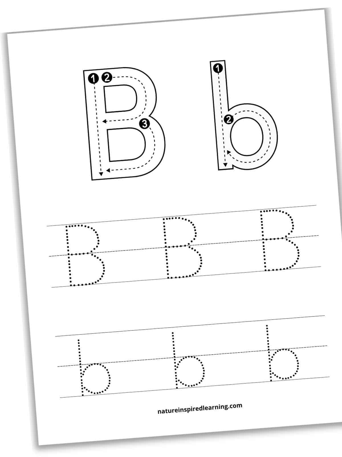 Lowercase Letter B Tracing Worksheets