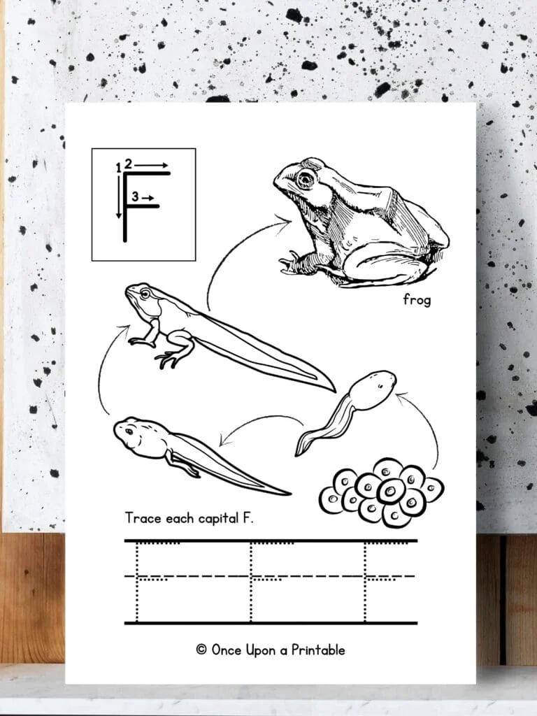 Frog Tracing Worksheet