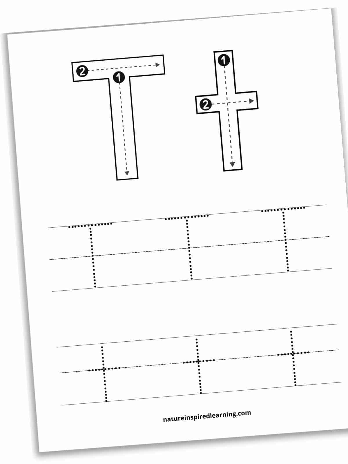 Cross Tracing Worksheet