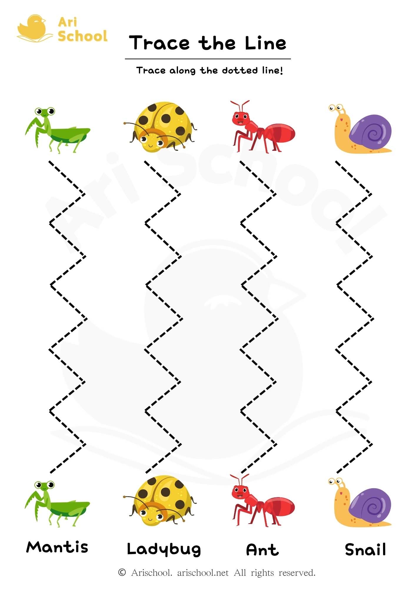 Line Tracing Zigzag Insects Arischool