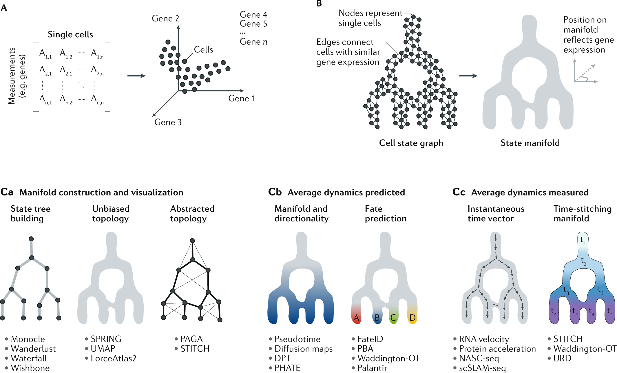 Lineage Tracing Meets Single cell Omics Opportunities And 